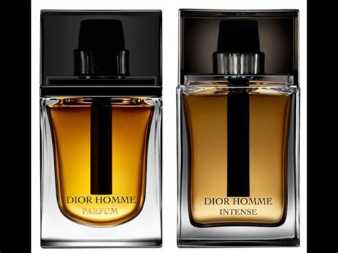 dior intense opinioni|Dior homme vs intense.